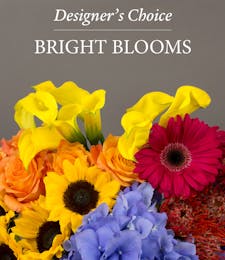 Designer's Choice Arrangement - Bright Blooms