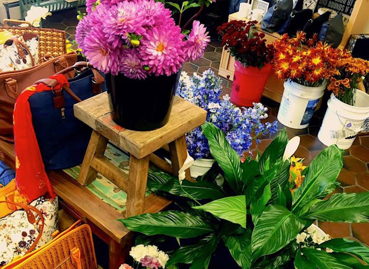 Bulk flowers, plants, potted flowers and more in our Wilmington showroom